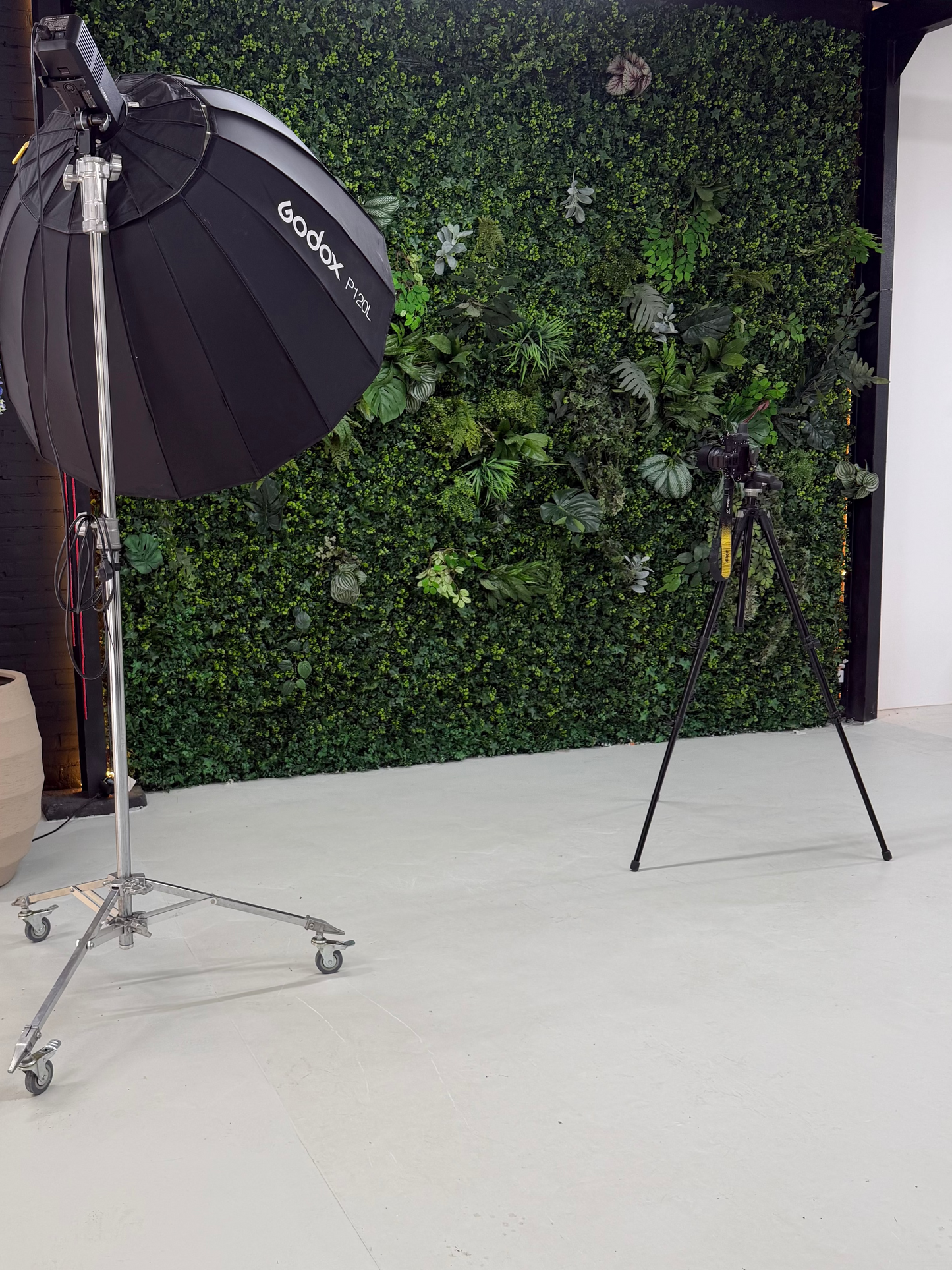 Fotostudio met groene wand van kunstplanten, godox lichtbox met softbox en statief met Nikon camera