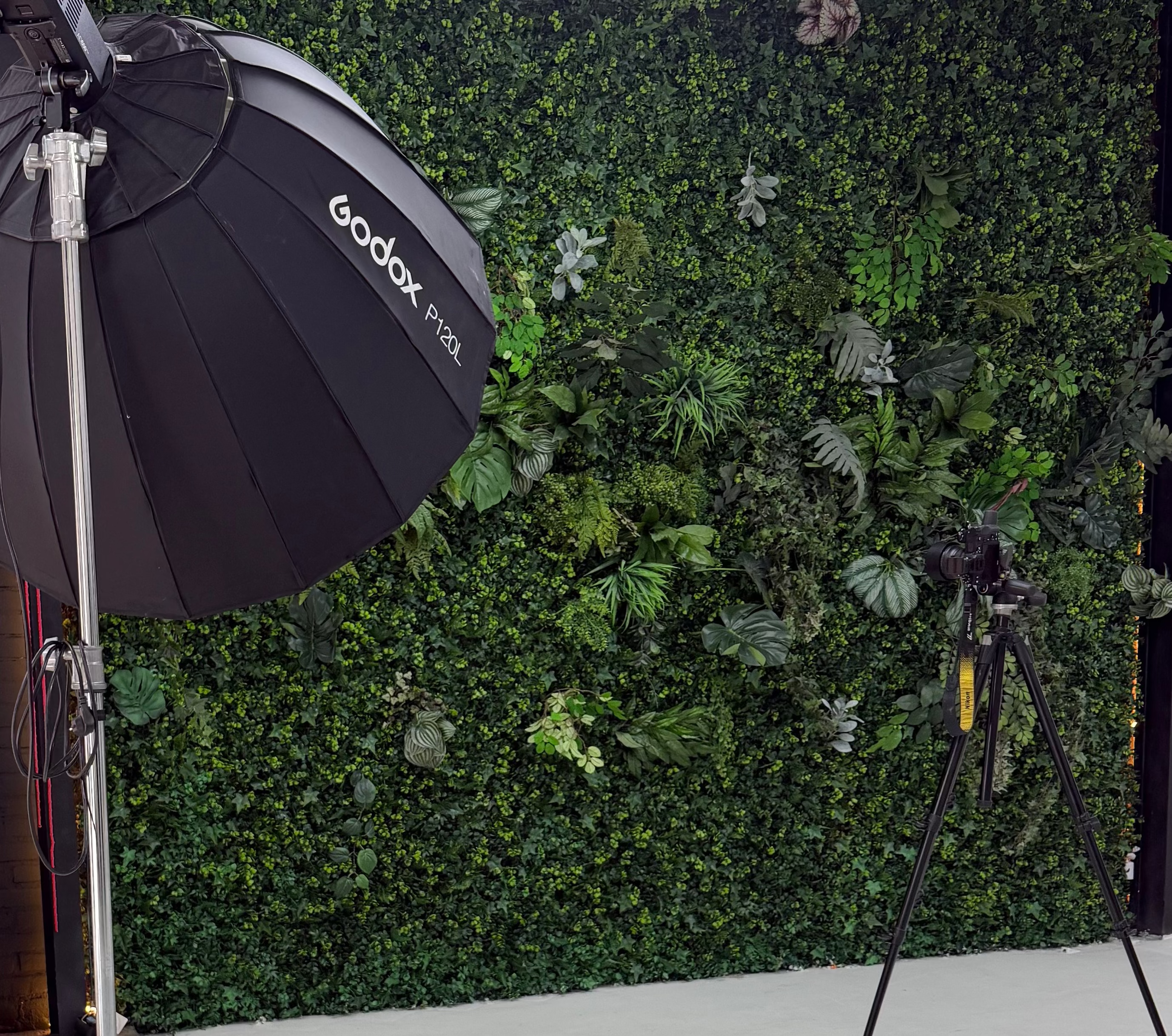 Fotostudio met groene achterwand van planten met godox Lichtbox en Nikon Camera op statief