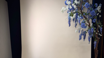 Fotostudio huren